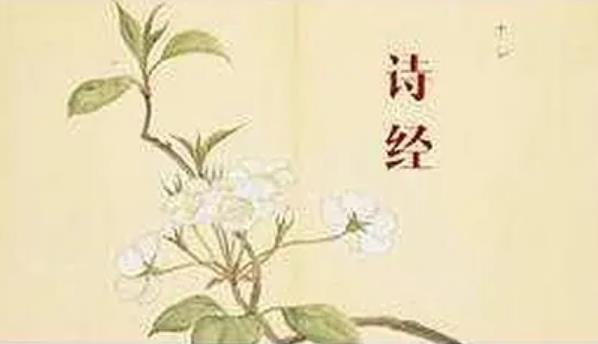 搜狗截图22年09月25日1958_3.jpg