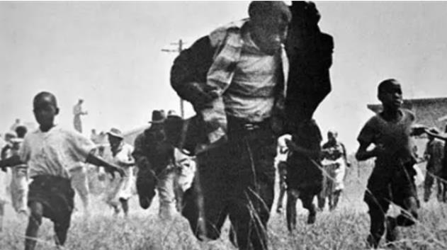 搜狗截图22年09月25日1958_3.jpg