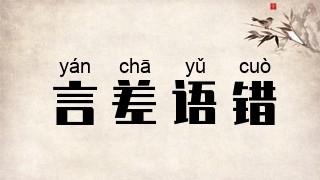 言差语错