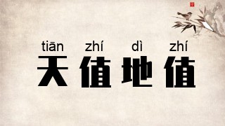 天值地值