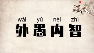 外愚内智