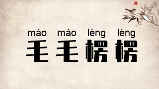 毛毛楞楞