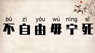 不自由，毋宁死