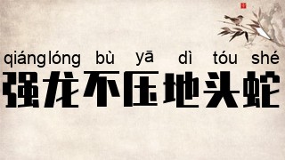 强龙不压地头蛇