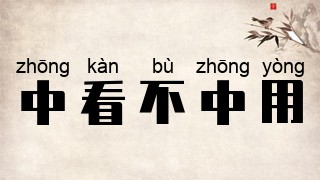 中看不中用
