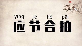应节合拍