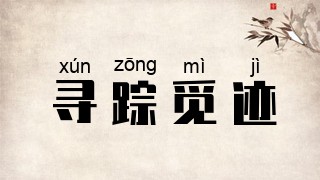 寻踪觅迹