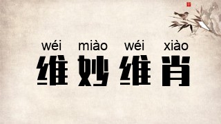 维妙维肖