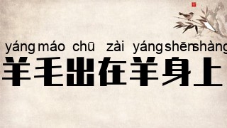羊毛出在羊身上