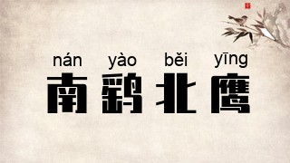 南鹞北鹰