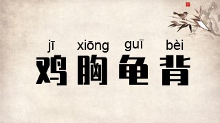 鸡胸龟背