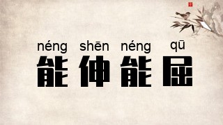 能伸能屈