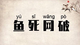鱼死网破