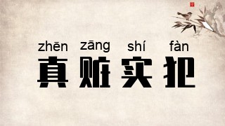 真赃实犯
