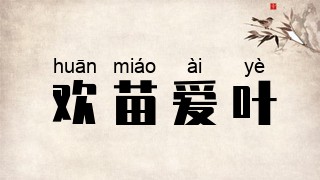 欢苗爱叶