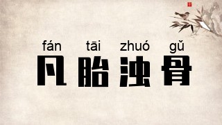 凡胎浊骨