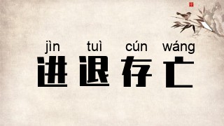 进退存亡