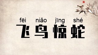 飞鸟惊蛇