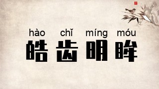 皓齿明眸
