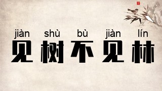 见树不见林