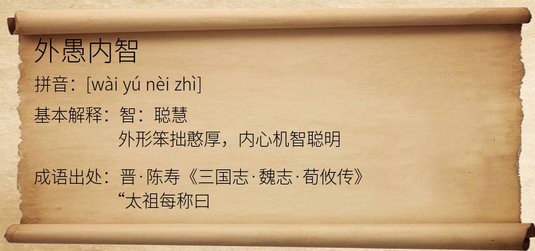 外愚内智