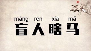 盲人瞎马