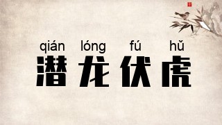 潜龙伏虎