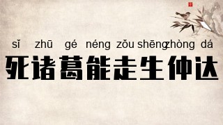 死诸葛能走生仲达