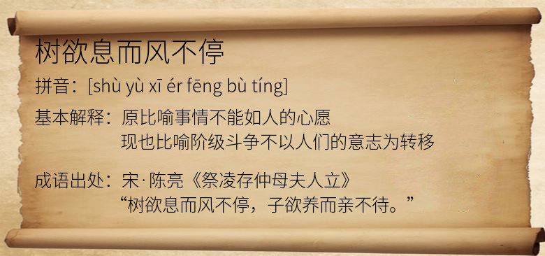 树欲息而风不停