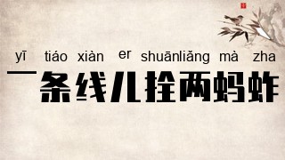 一条线儿拴两蚂蚱