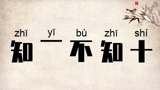 知一不知十