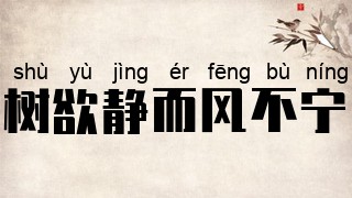 树欲静而风不宁