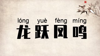 龙跃凤鸣