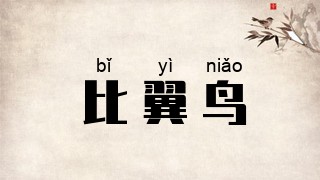 比翼鸟