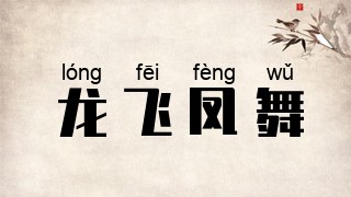 龙飞凤舞