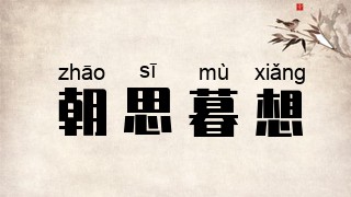 朝思暮想