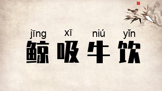 鲸吸牛饮