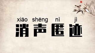 消声匿迹