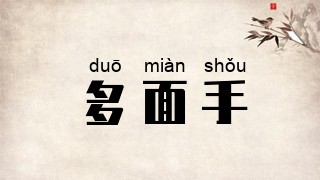 多面手