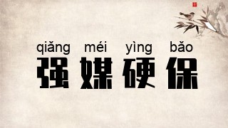 强媒硬保