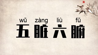 五脏六腑