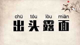 出头露面