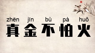 真金不怕火