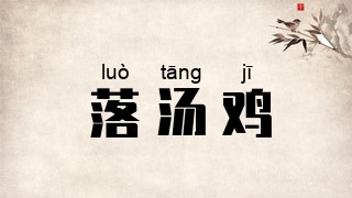 落汤鸡