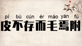皮不存而毛焉附