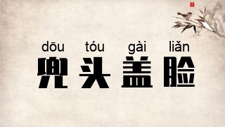 兜头盖脸
