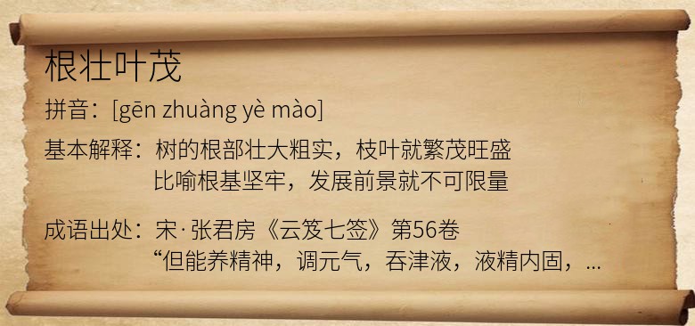 根壮叶茂