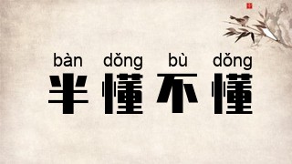 半懂不懂
