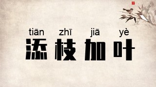 添枝加叶