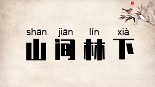 山间林下